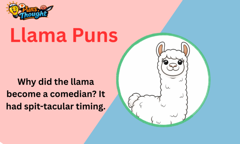 223+ Llama Puns